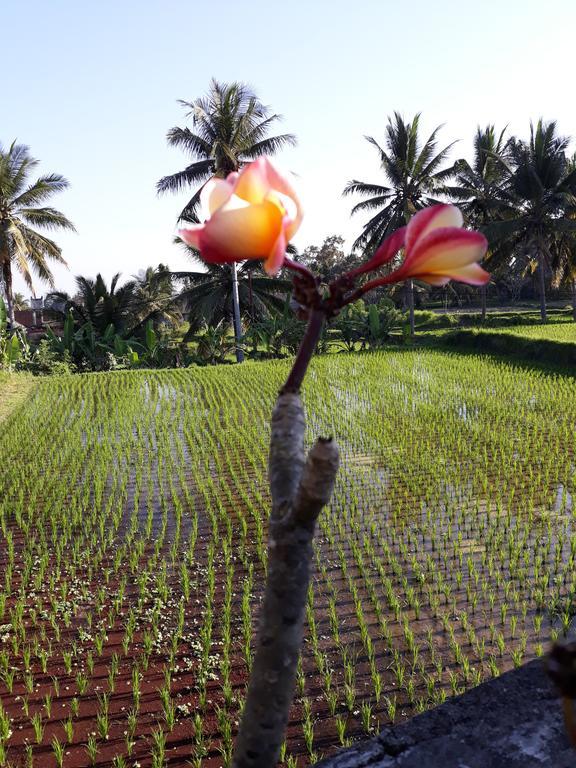 Umah Dangin Guest House Ubud Exterior foto