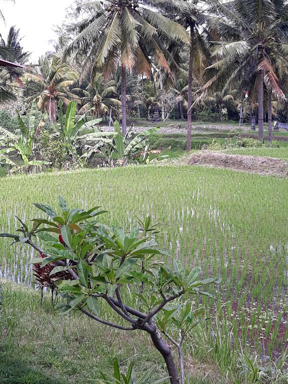 Umah Dangin Guest House Ubud Exterior foto