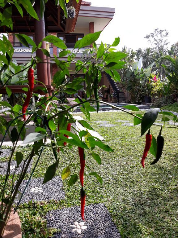 Umah Dangin Guest House Ubud Exterior foto