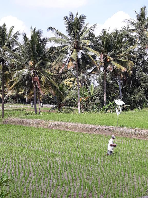 Umah Dangin Guest House Ubud Exterior foto