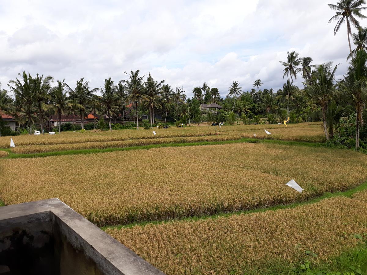 Umah Dangin Guest House Ubud Exterior foto